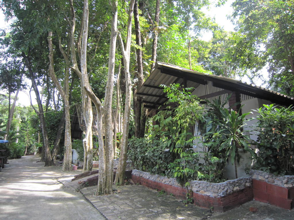 Pine Bungalow Krabi Bagian luar foto