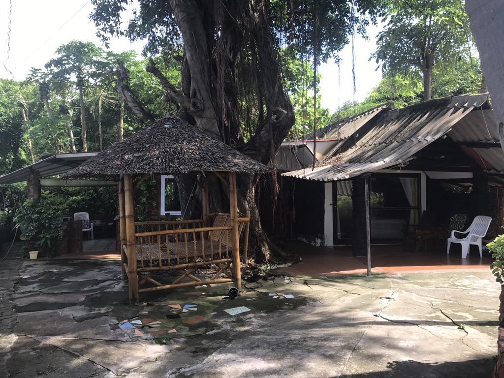 Pine Bungalow Krabi Bagian luar foto