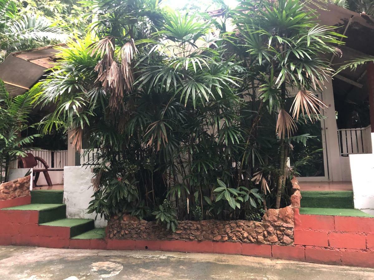 Pine Bungalow Krabi Bagian luar foto